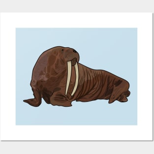 Walrus cartoon illustration Posters and Art